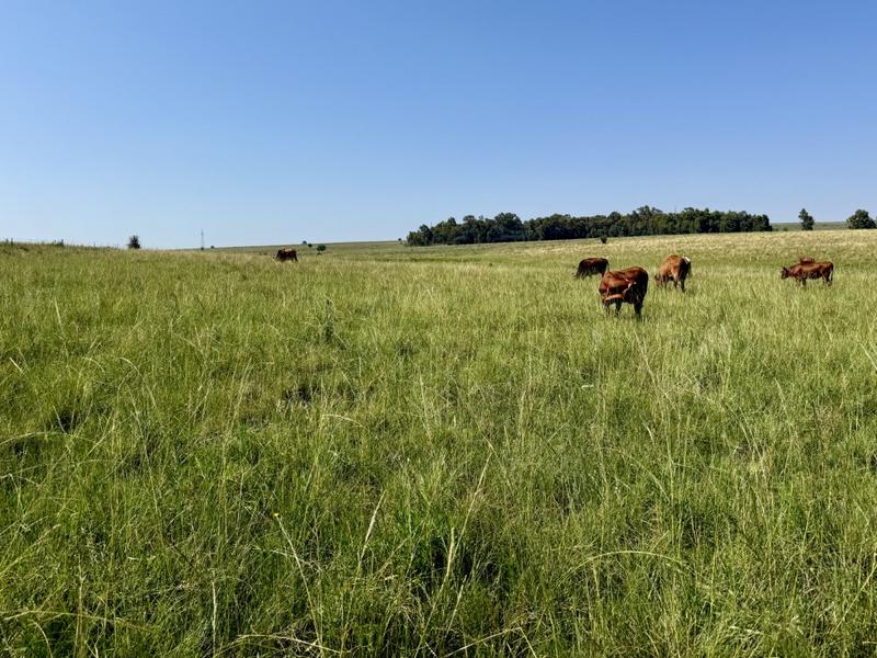 0 Bedroom Property for Sale in Bethlehem Rural Free State